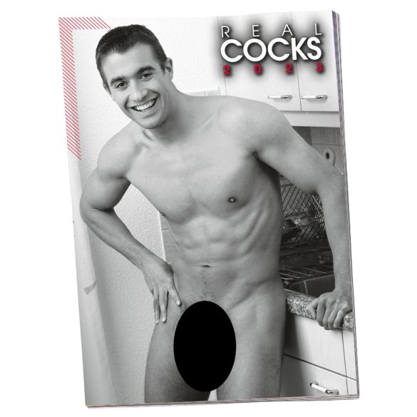 Naken mann kalender - 2026