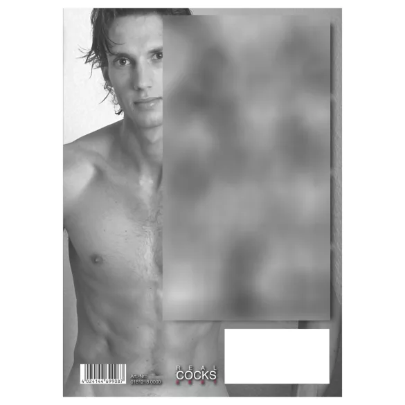 Real Cocks 2027 - erotisk veggkalender (1 stk)