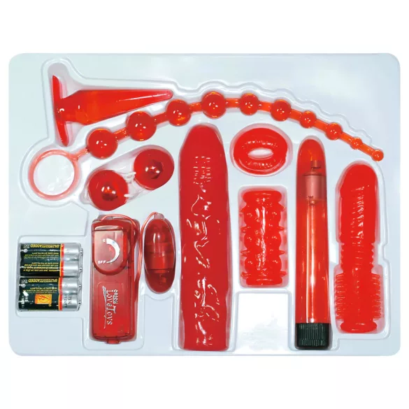 You2Toys - Røde roser - vibrator-sett (9 deler)