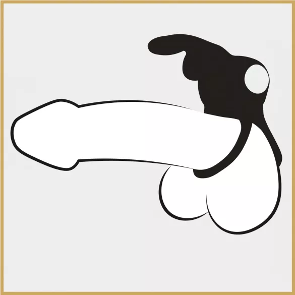 Happyrabbit Cock - vanntett, oppladbar penis- og testikkelring (svart)