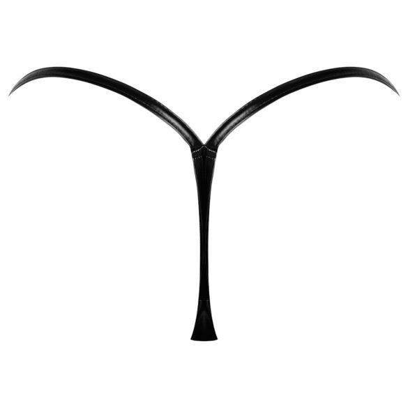 Noir - Skinnende Stringtruse (Svart) - L/XL