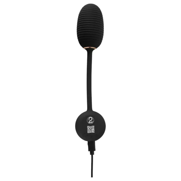 You2Toys Intense RC - vibrerende egg (svart)