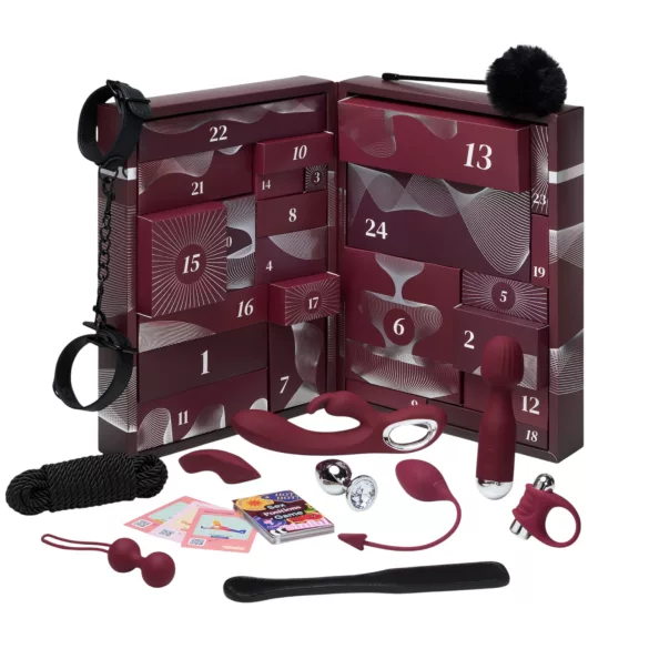 Sinful Pleasure - erotisk adventskalender (24 deler)