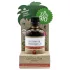 Kokosolje - Økologisk Intim- og Massasjeolje (80ml)