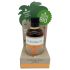 Coconutoil - Bio Bruningsolje (80ml)