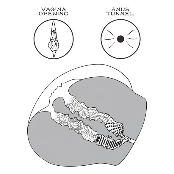 Lovetoy Streetgirl's 12 - realistisk vagina med truse (mørk hudtone)