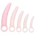 CalExotics Inspire - helse vaginal ekspansjonssett (rosa)