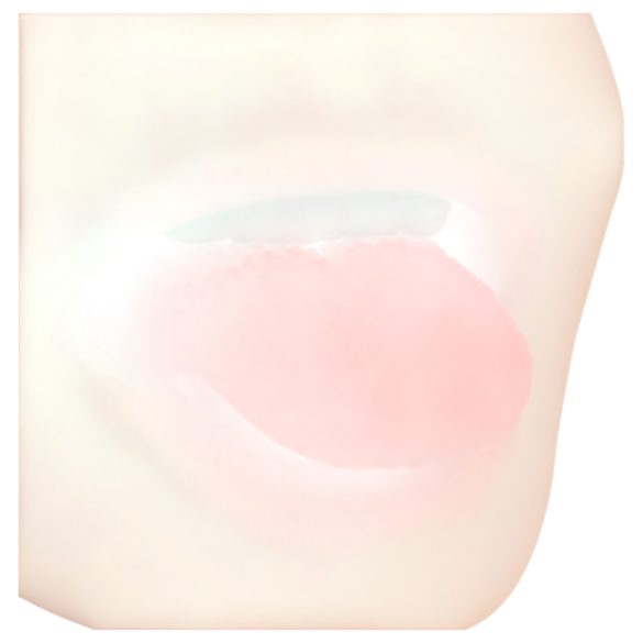 FWB - Lily Brooks 2-i-1 kunstmunn og kunstvagina (naturlig)