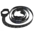 Bathmate Shower Strap - pumpeholder med målereim (svart)
